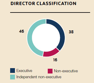 DIRECTOR CLASSIFICATION