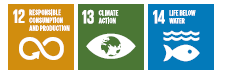 SDG 4